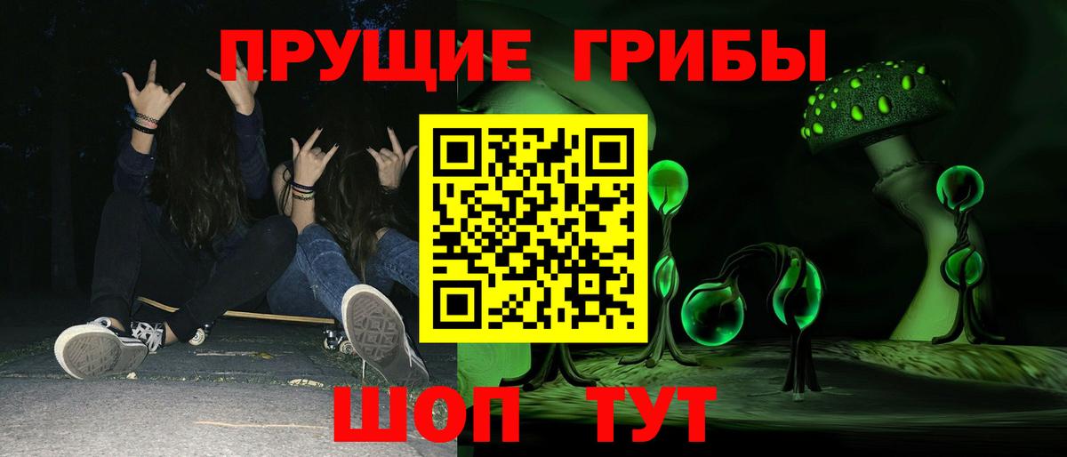 Галлюциногенные грибы Psilocybine cubensis  Вход с VPN  Будённовск  Галлюциногенные грибы прущие грибы 